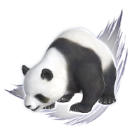 Mystic Panda